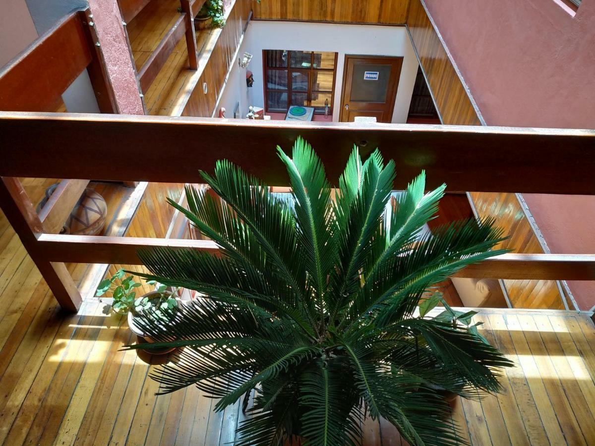 Aleida'S Hostal Puembo Ngoại thất bức ảnh